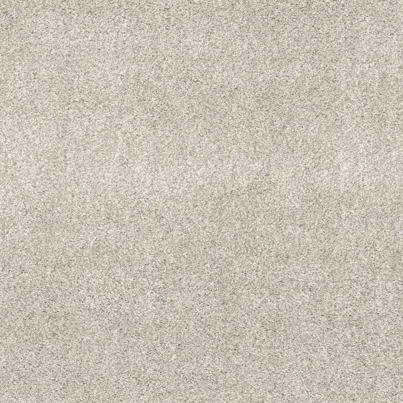Shaw Floors Pet Perfect Plus Calm Serenity II Net Serene Still