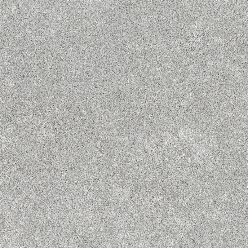 Shaw Floors Pet Perfect Plus Calm Serenity II Net English Streets