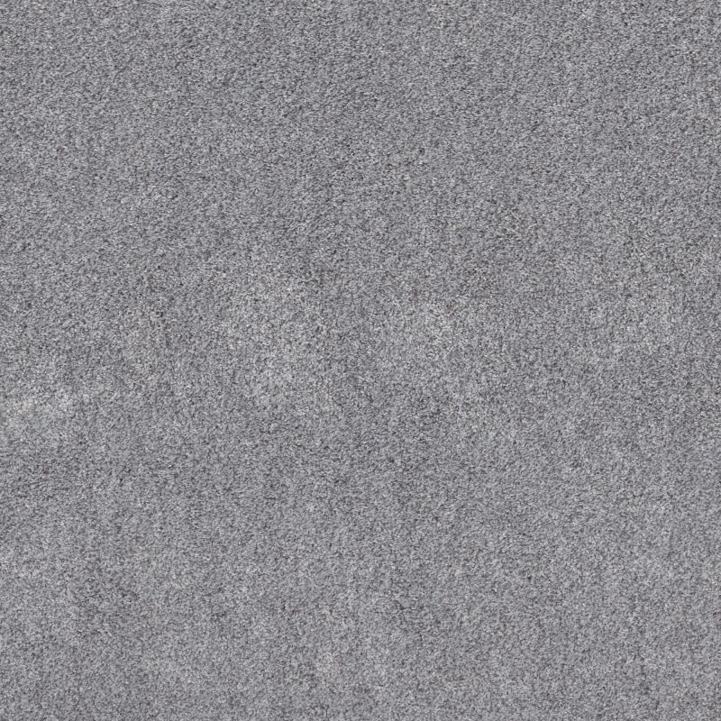 Shaw Floors Pet Perfect Plus Calm Serenity II Net Silver Lining