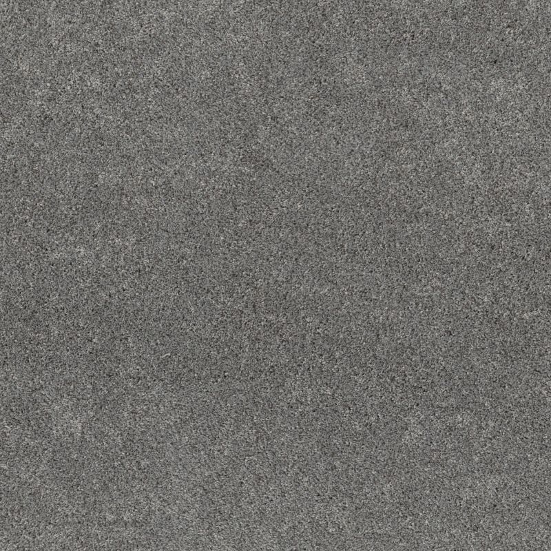 Shaw Floors Pet Perfect Plus Calm Serenity II Net Harbor Dock