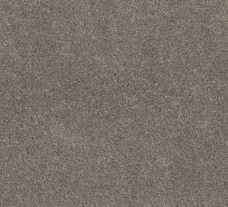 Shaw Floors Pet Perfect Plus Calm Simplicity I Net Desert View