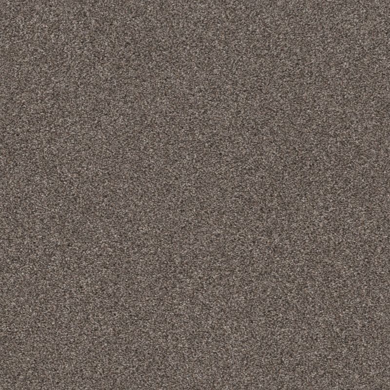 Shaw Floors Pet Perfect Plus Calm Simplicity I Net Antelope