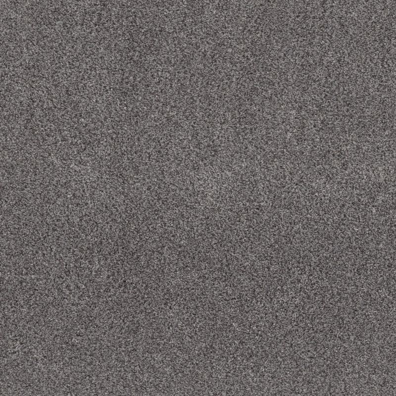 Shaw Floors Pet Perfect Plus Calm Simplicity II Net Silver Lining