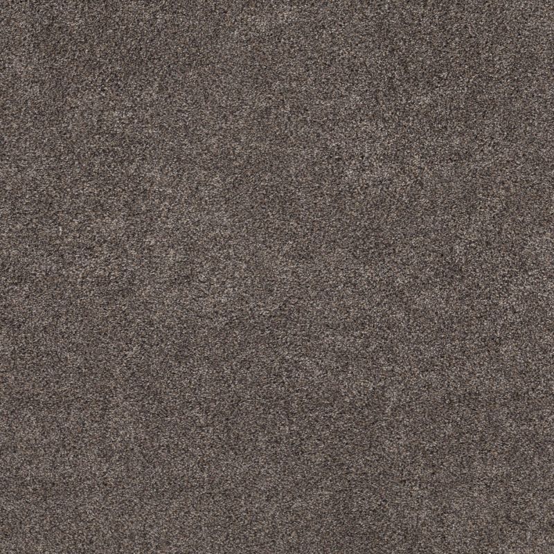 Shaw Floors Pet Perfect Plus Calm Simplicity II Net Antelope