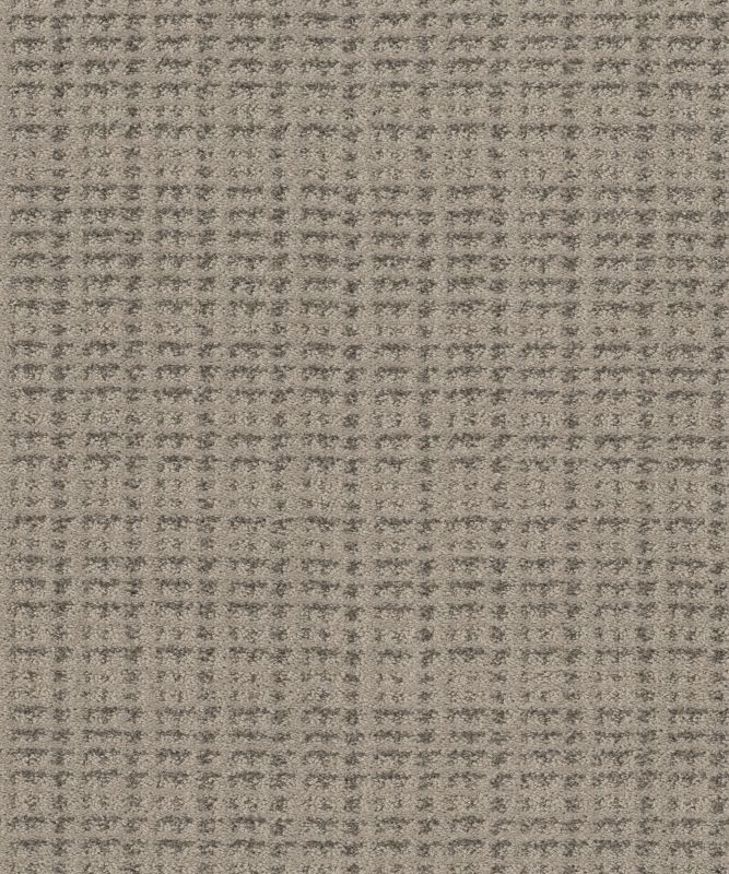Shaw Floors Pet Perfect Plus Charming Transition Net Newstone Haven
