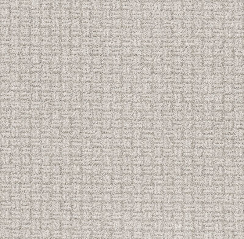 Shaw Floors Pet Perfect Plus Soothing Surround Net Winters Dawn