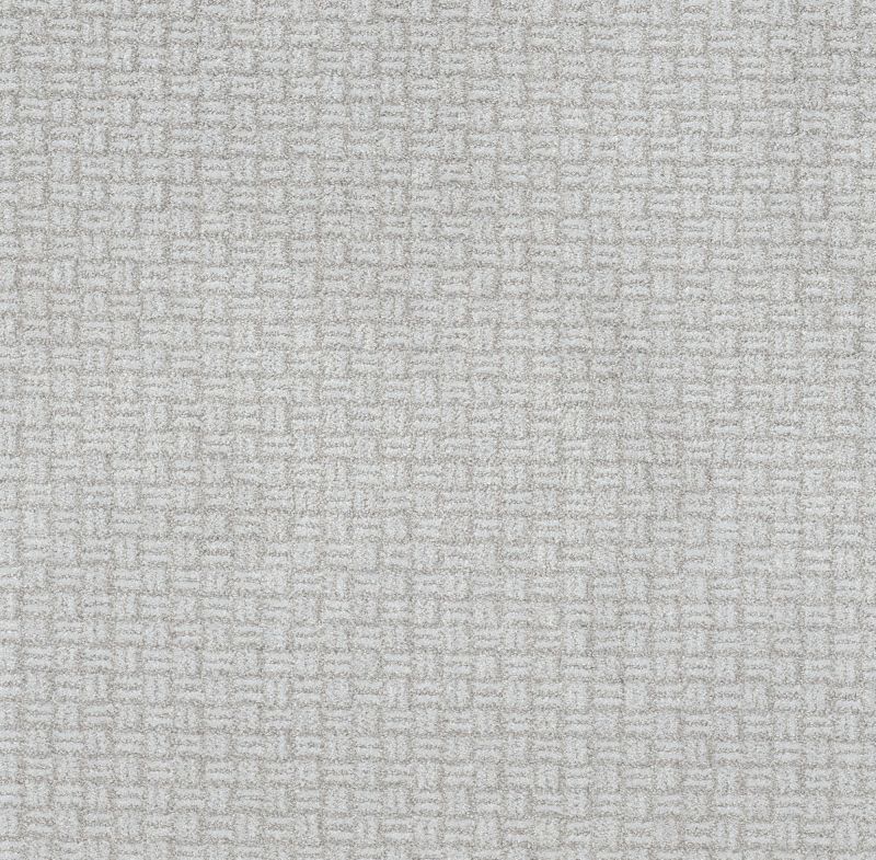 Shaw Floors Pet Perfect Plus Soothing Surround Net Reflection