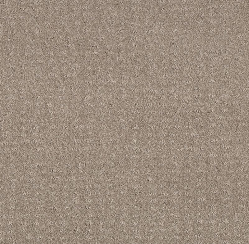 Shaw Floors Foundations Chic Nuance Net Fossil Path