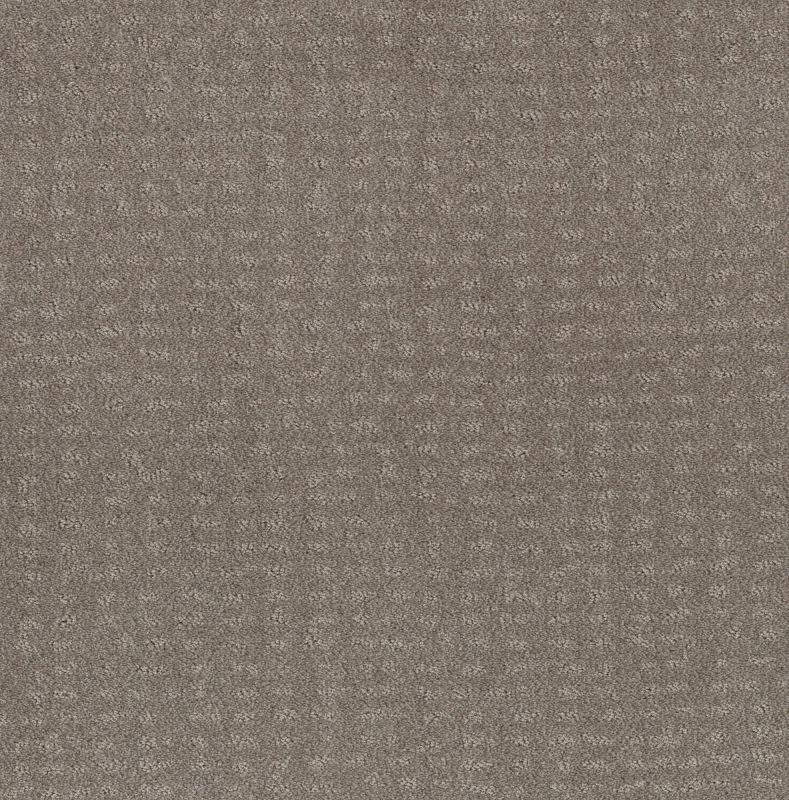 Shaw Floors Foundations Chic Nuance Net River Run