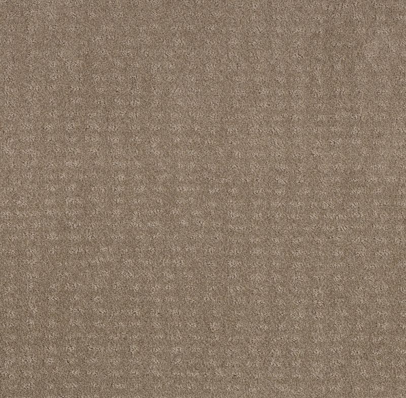 Shaw Floors Foundations Chic Nuance Net Desert View