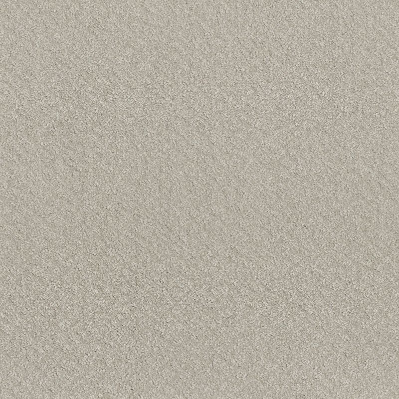 Shaw Floors Foundations Chic Shades Net Winters Dawn