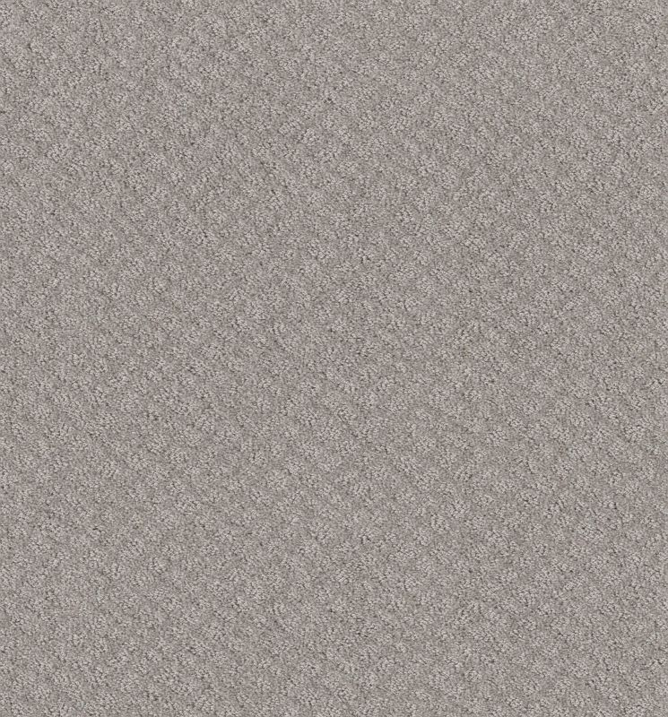 Shaw Floors Foundations Chic Shades Net Silver Lining