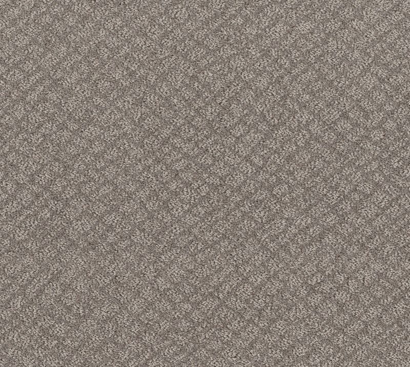 Shaw Floors Foundations Chic Shades Net River Run