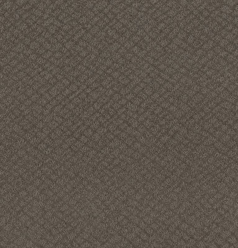 Shaw Floors Foundations Chic Shades Net Ridgeview