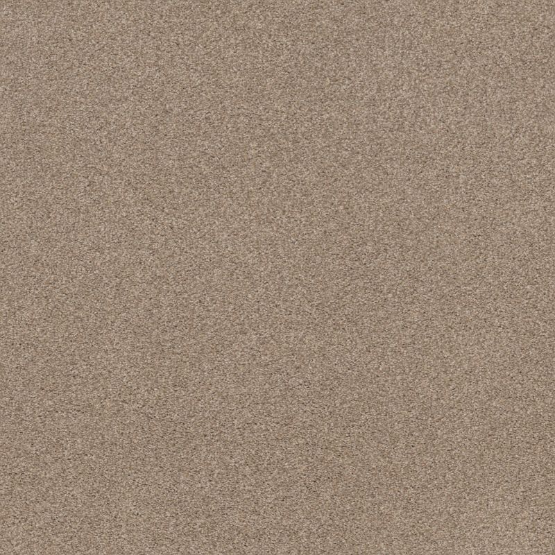 Shaw Floors Caress By Shaw Cozy Harbor I Net Natural Beauty