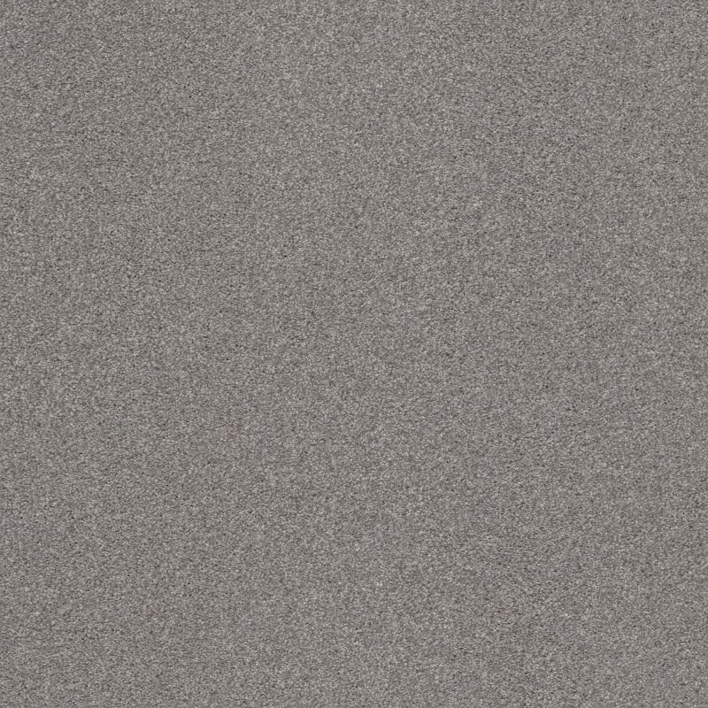 Shaw Floors Caress By Shaw Cozy Harbor II Net Grounded Gray