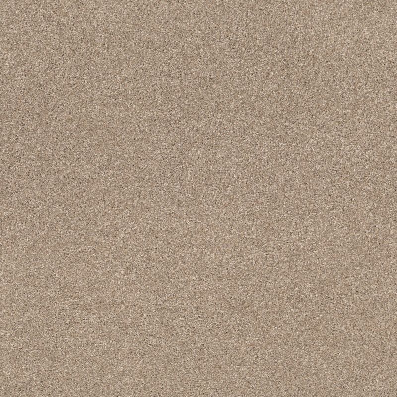 Shaw Floors Caress By Shaw Cozy Harbor II Net Natural Beauty