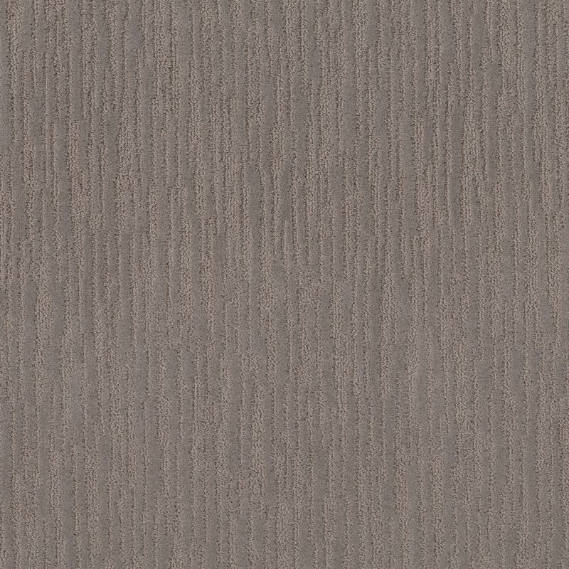Shaw Floors Caress By Shaw On The Horizon Net Ridgeview