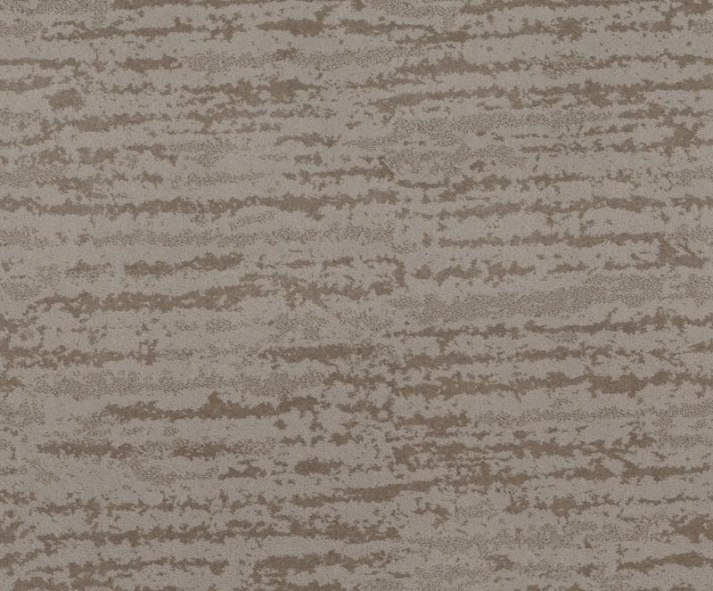 Shaw Floors Caress By Shaw Winter Solace Net Stucco
