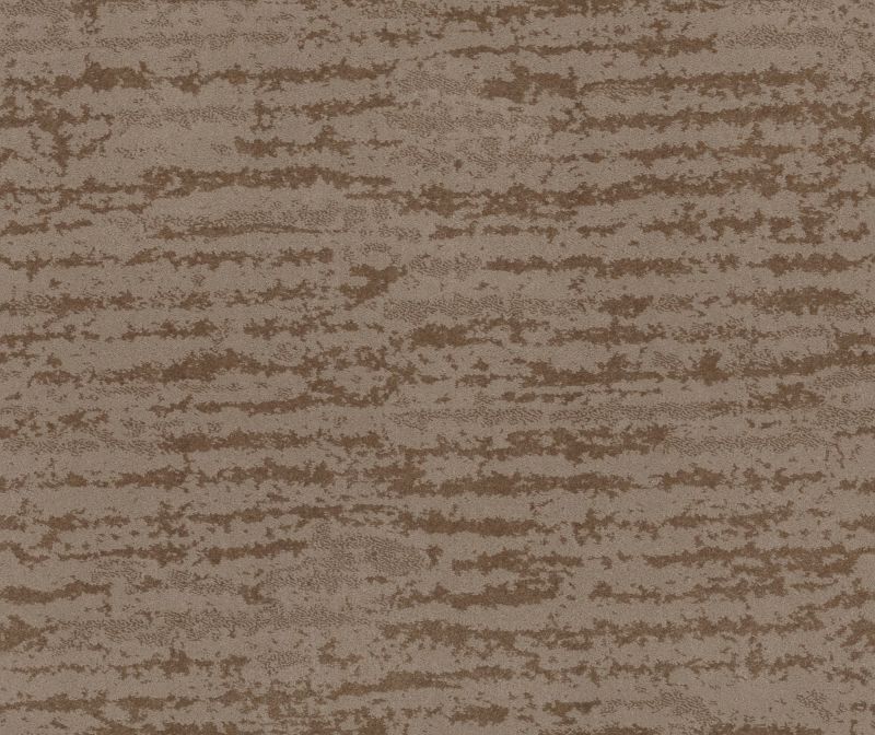 Shaw Floors Caress By Shaw Winter Solace Net Tumbleweed