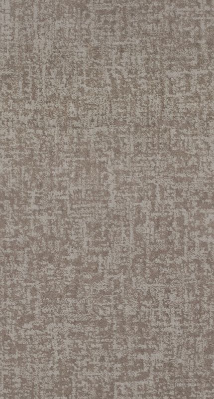 Shaw Floors Caress By Shaw Fine Structure Net Cold Winter