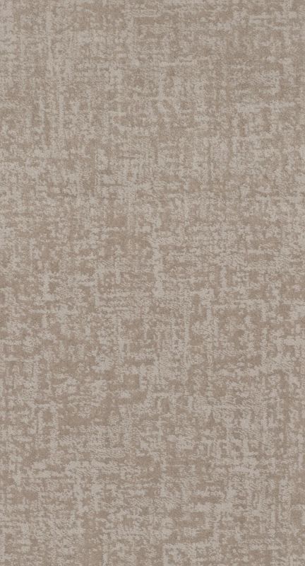 Shaw Floors Caress By Shaw Fine Structure Net Baltic Stone