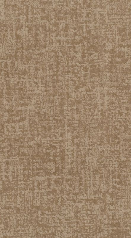 Shaw Floors Caress By Shaw Fine Structure Net Natural Beauty
