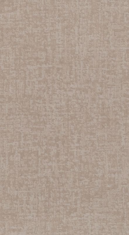 Shaw Floors Caress By Shaw Fine Structure Net Sandstone