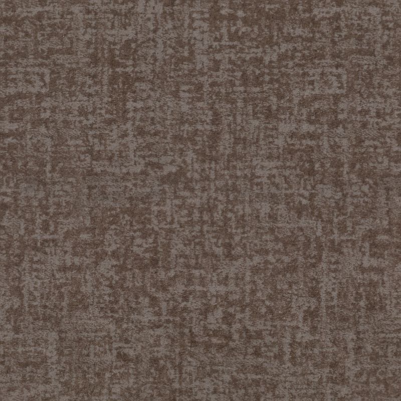 Shaw Floors Caress By Shaw Fine Structure Net Ridgeview