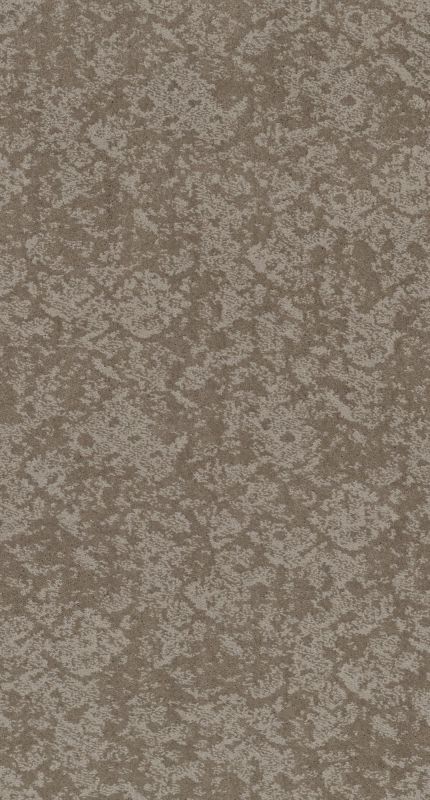 Shaw Floors Caress By Shaw Free Spirit Net Stucco