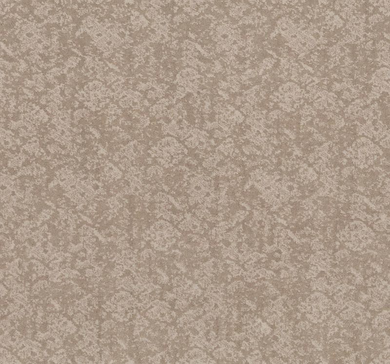 Shaw Floors Caress By Shaw Free Spirit Net Sandstone