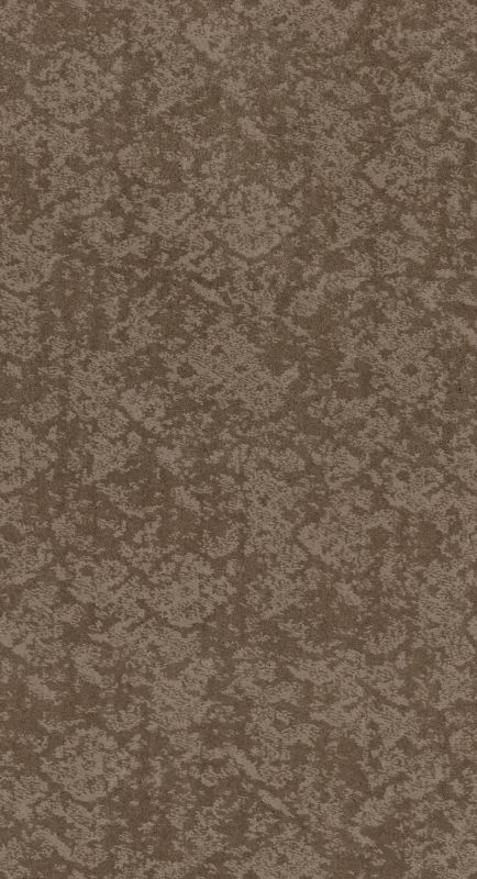 Shaw Floors Caress By Shaw Free Spirit Net Tumbleweed