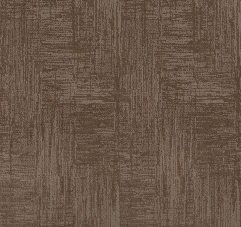 Shaw Floors Caress By Shaw Insightful Journey Net Tumbleweed