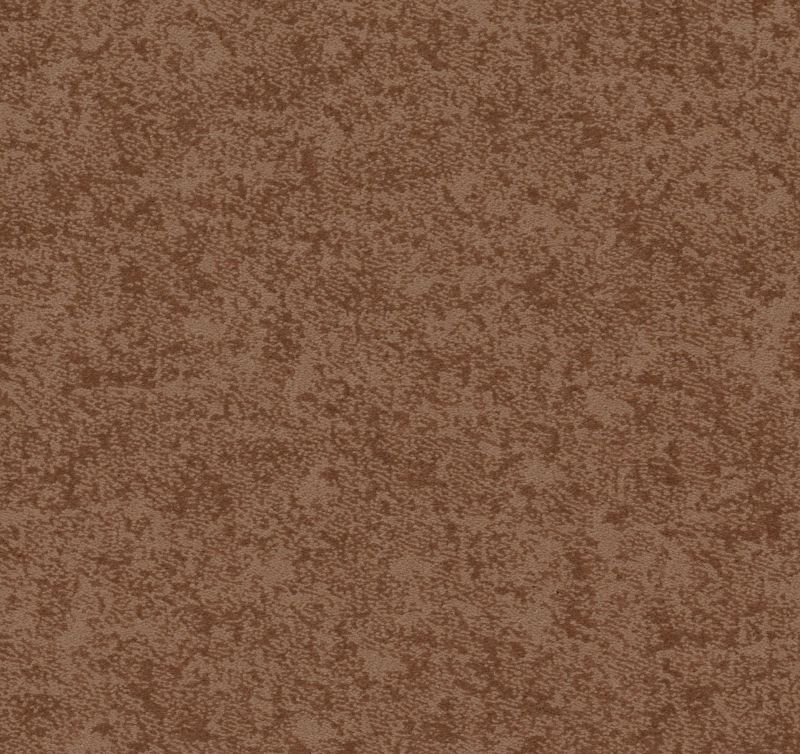 Shaw Floors Caress By Shaw State Of Mind Net Sunbaked