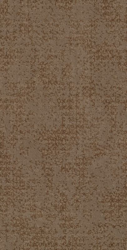 Shaw Floors Caress By Shaw Artistic Presence Net Raw Wood