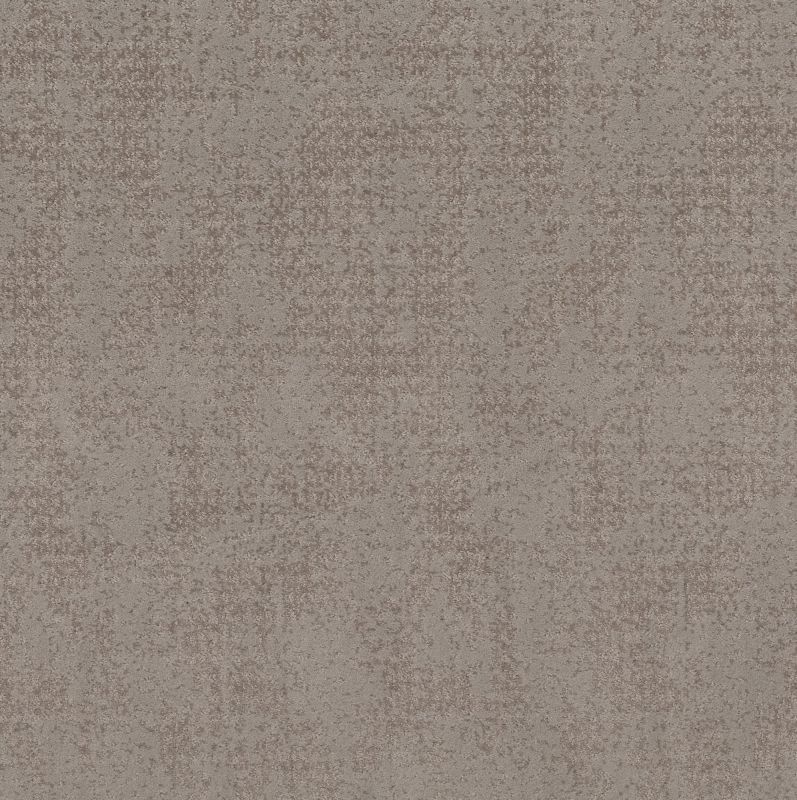 Shaw Floors Caress By Shaw Artistic Presence Net Stucco
