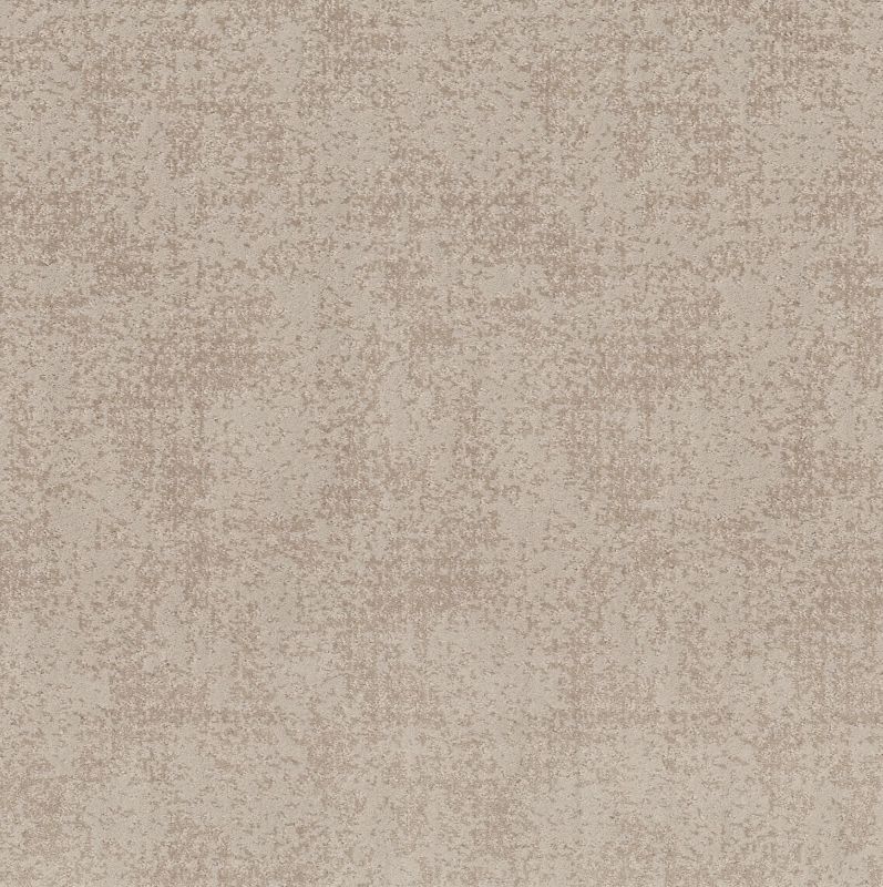 Shaw Floors Caress By Shaw Artistic Presence Net Sandstone