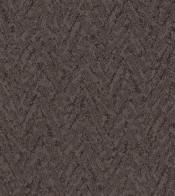 Shaw Floors Caress By Shaw Lavish Living Net Burma Brown