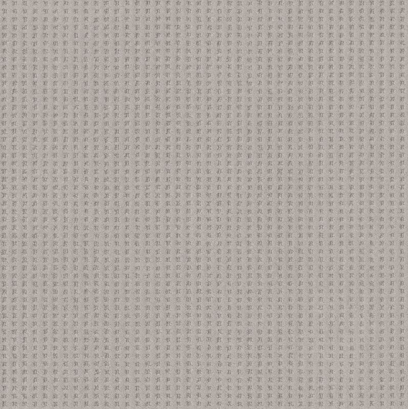 Shaw Floors Caress By Shaw Soft Symmetry Net Cold Winter