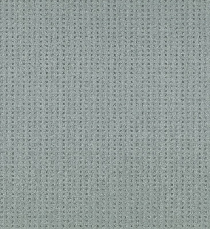 Shaw Floors Caress By Shaw Soft Symmetry Net Waters Edge