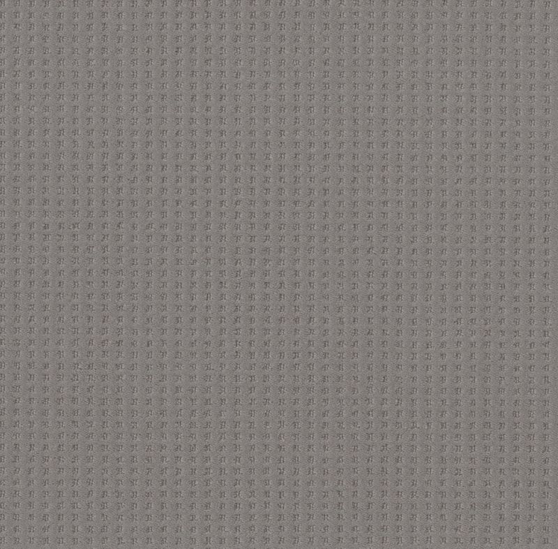 Shaw Floors Caress By Shaw Soft Symmetry Net Grounded Gray