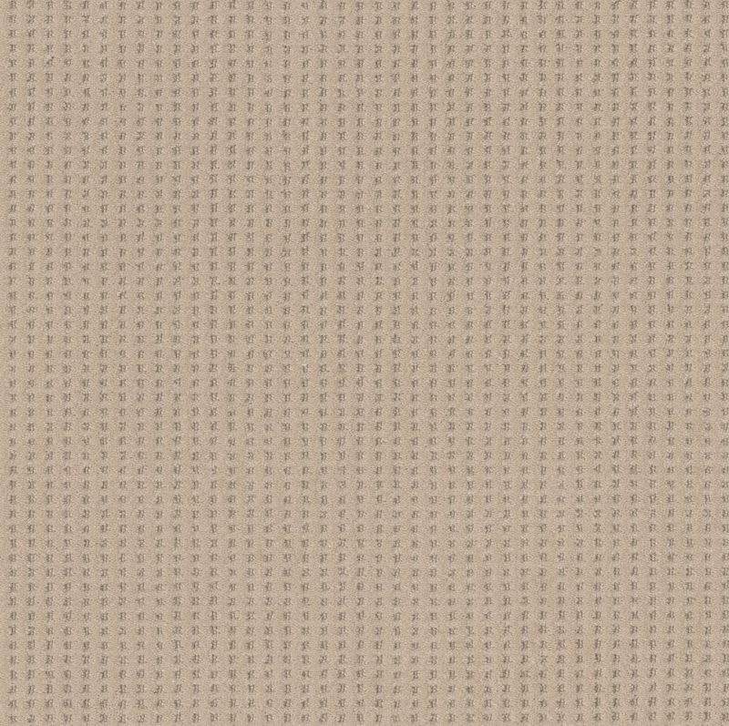 Shaw Floors Caress By Shaw Soft Symmetry Net Natural Beauty
