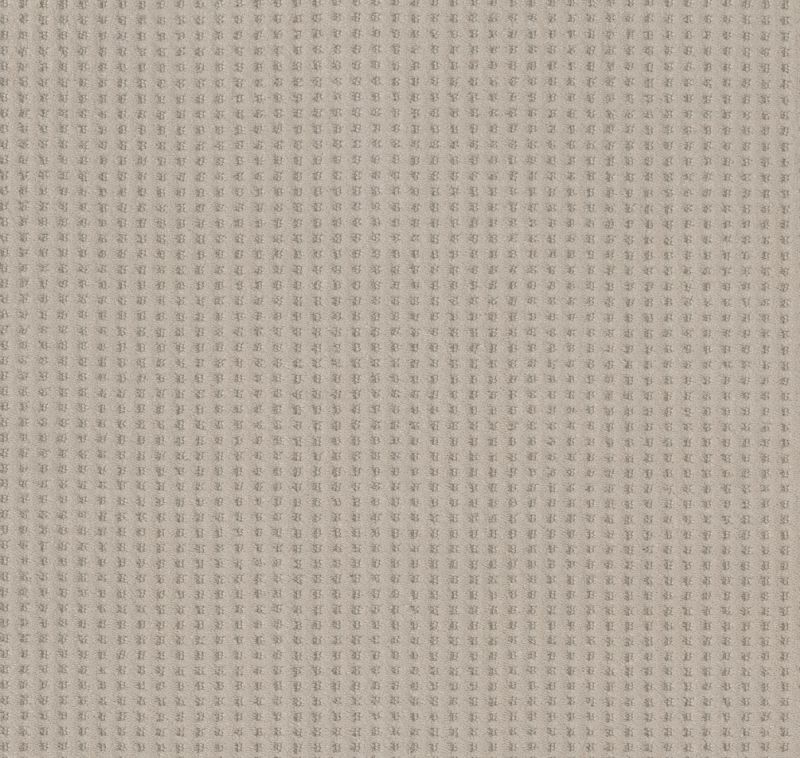Shaw Floors Caress By Shaw Soft Symmetry Net Sandstone