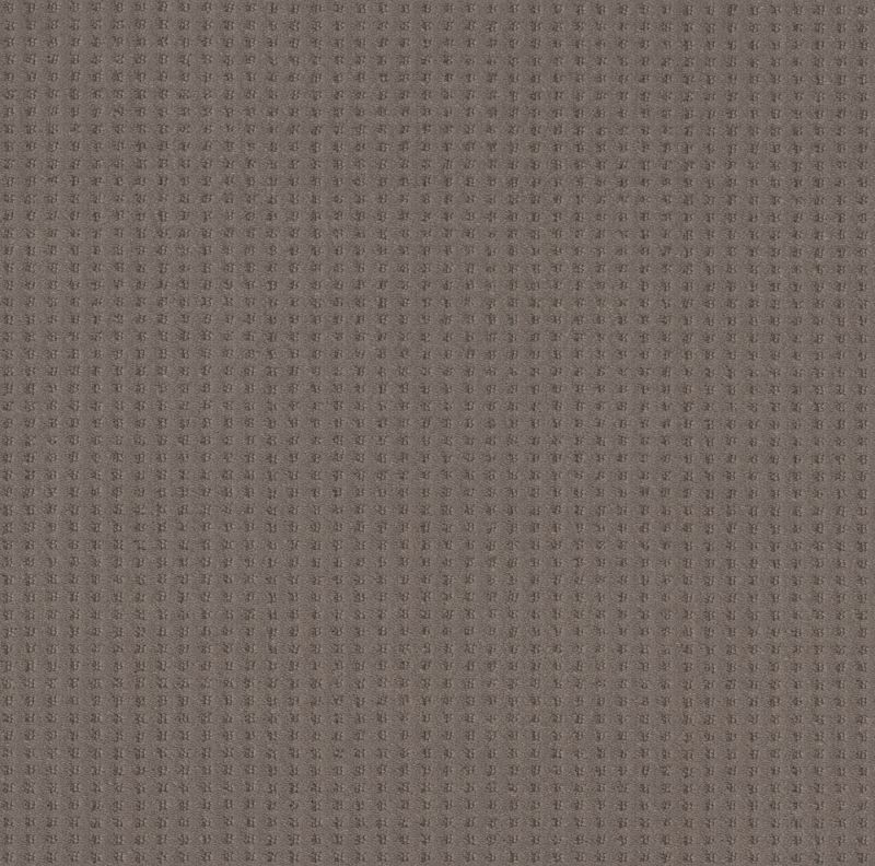 Shaw Floors Caress By Shaw Soft Symmetry Net Ridgeview