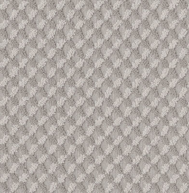 Shaw Floors Caress By Shaw Inspired Design Net Cold Winter