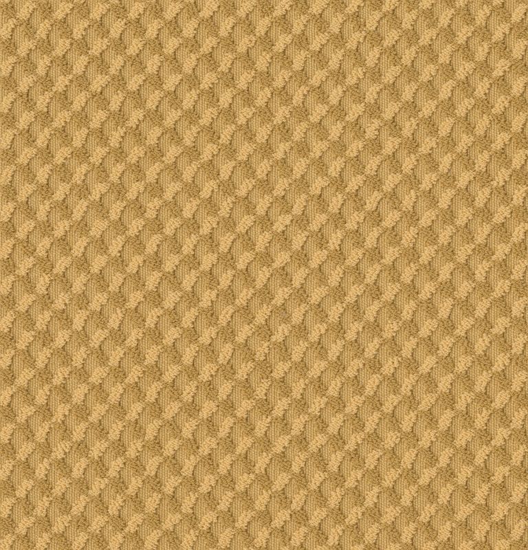 Shaw Floors Caress By Shaw Inspired Design Net Turmeric