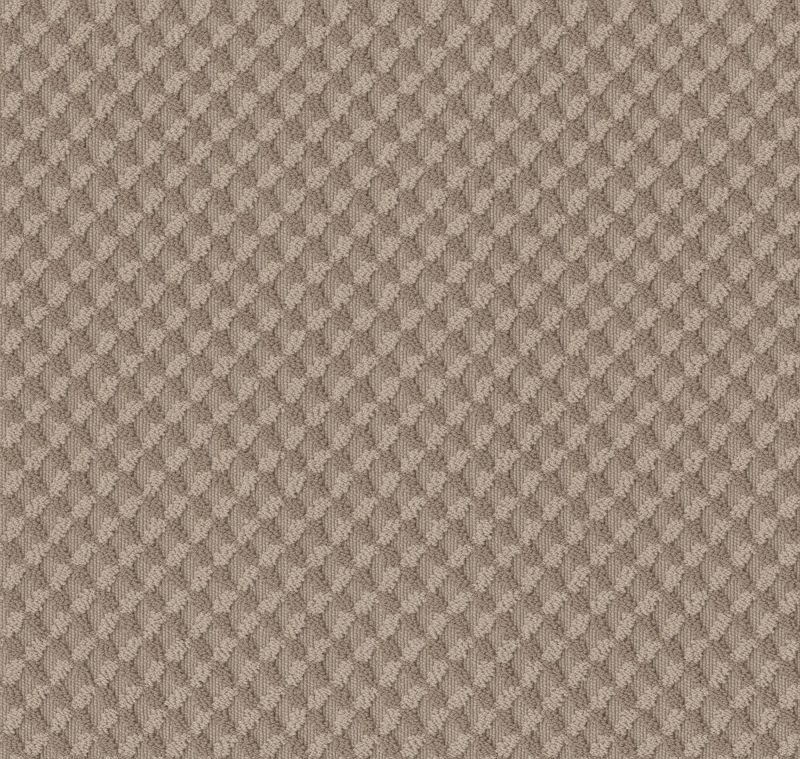 Shaw Floors Caress By Shaw Inspired Design Net Tumbleweed