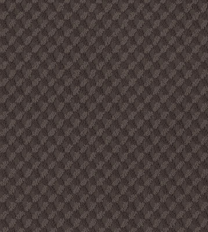 Shaw Floors Caress By Shaw Inspired Design Net Burma Brown