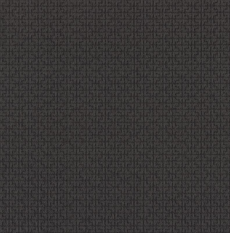 Shaw Floors Caress By Shaw Serene Key Net Wrought Iron