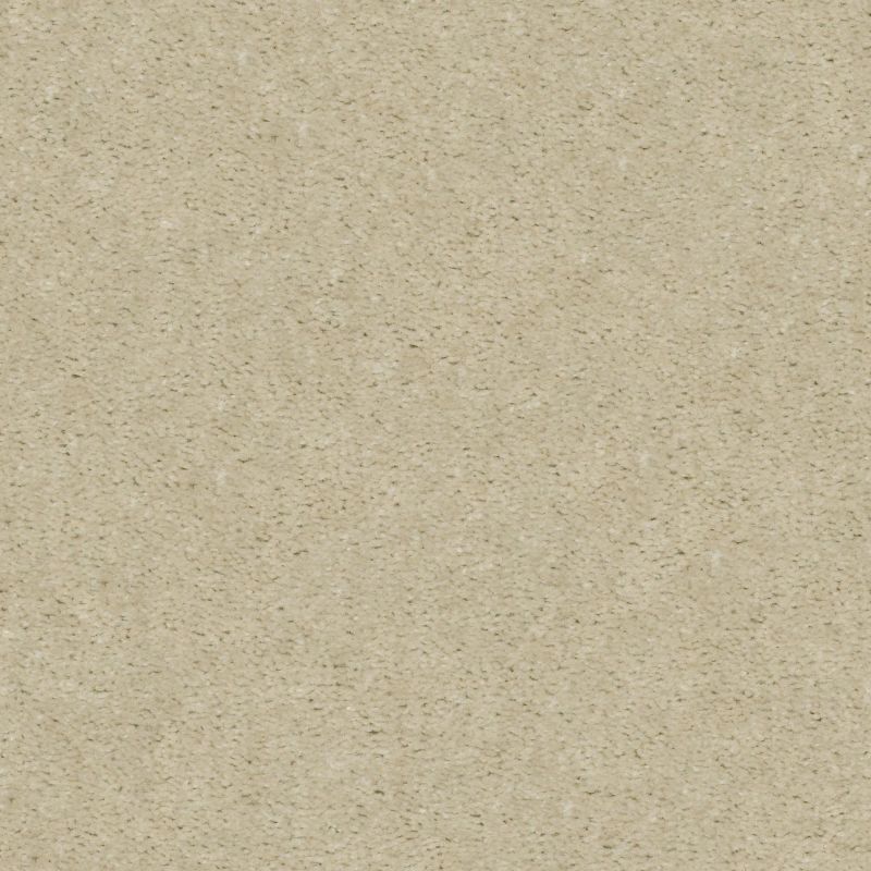 Shaw Floors Value Collections Heroic Net Coconut Twist